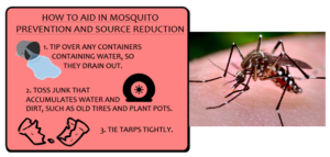 Zika Prevvention Tips