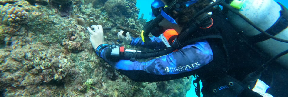 Researcher from UOG's Island Evolution Lab extracts a coral sample in the CNMI. Photo by Mikay Reuter